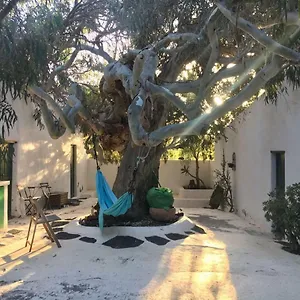 Patio Ii Studio At Finca La Asomada (Lanzarote)